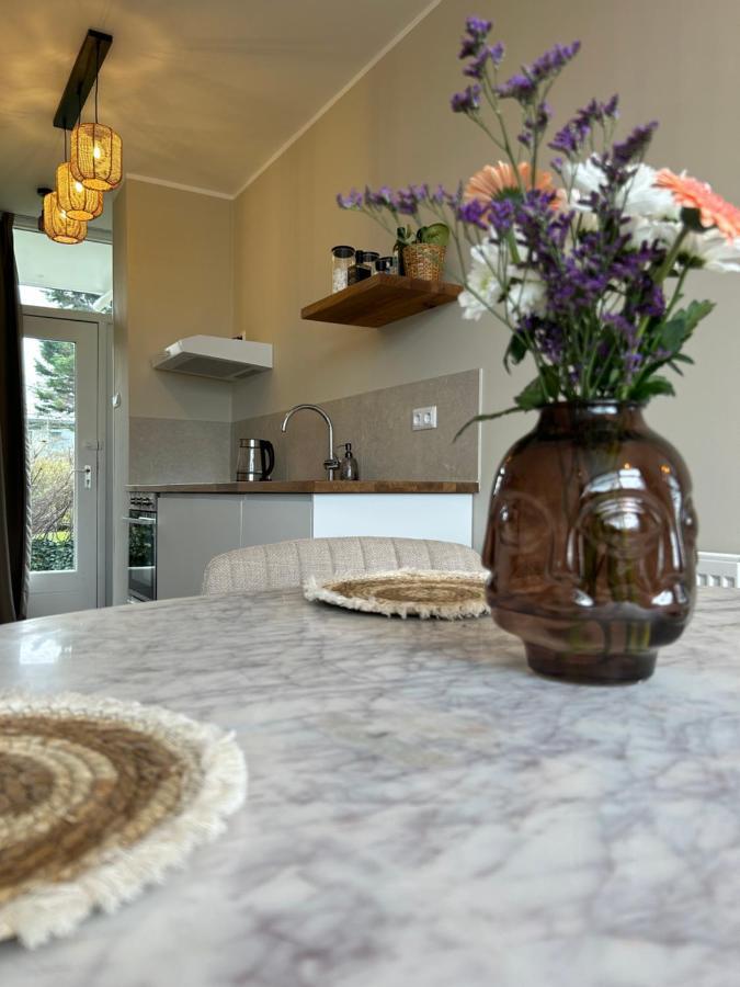 Amsterdam Beach Apartment 33, Private Garden Zandvoort Kültér fotó