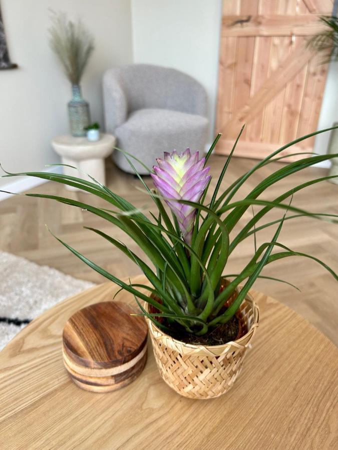Amsterdam Beach Apartment 33, Private Garden Zandvoort Kültér fotó
